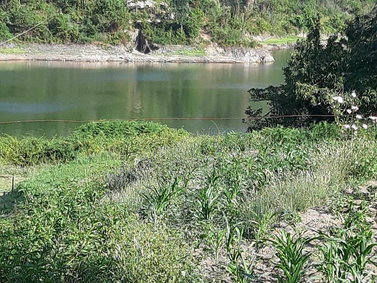 River House Sejaes 올리베이라데프라데스 외부 사진